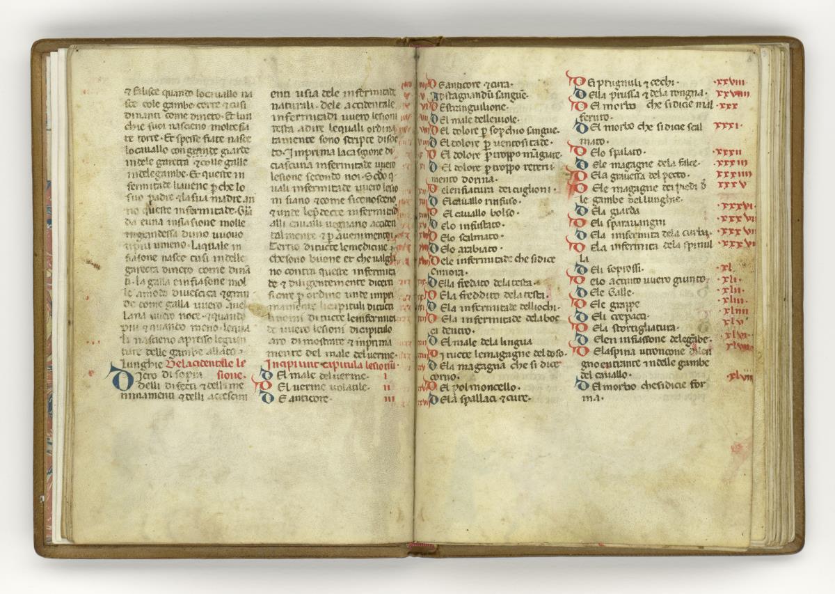 Giordano Rosso, Libro delle Mariscalcie dei cavalli.