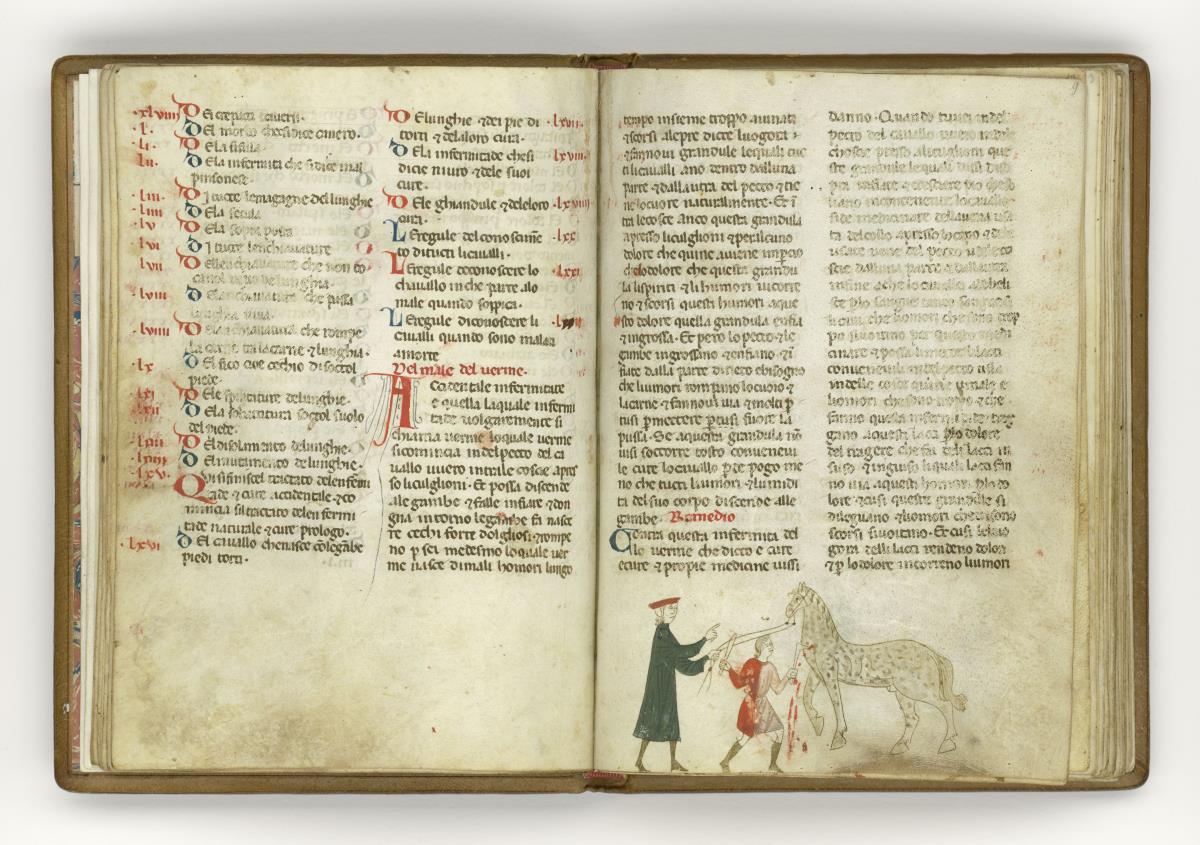 Giordano Rosso, Libro delle Mariscalcie dei cavalli. Aderlass eines Pferdes am Hals