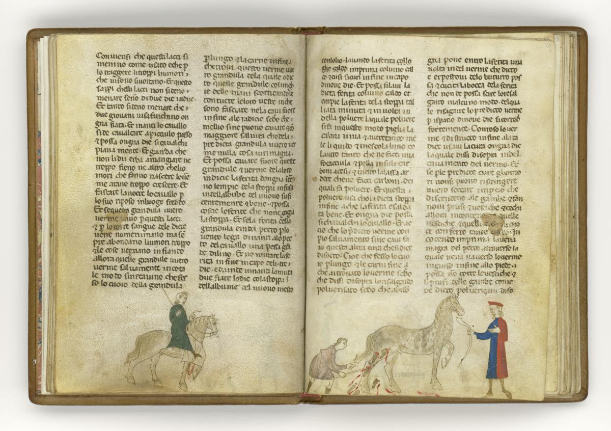 Giordano Rosso, Libro delle Mariscalcie dei cavalli. Reiter zu Pferd