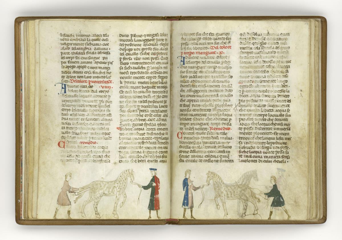 Giordano Rosso, Libro delle Mariscalcie dei cavalli. Einem Pferd wird der Schwanz gehoben