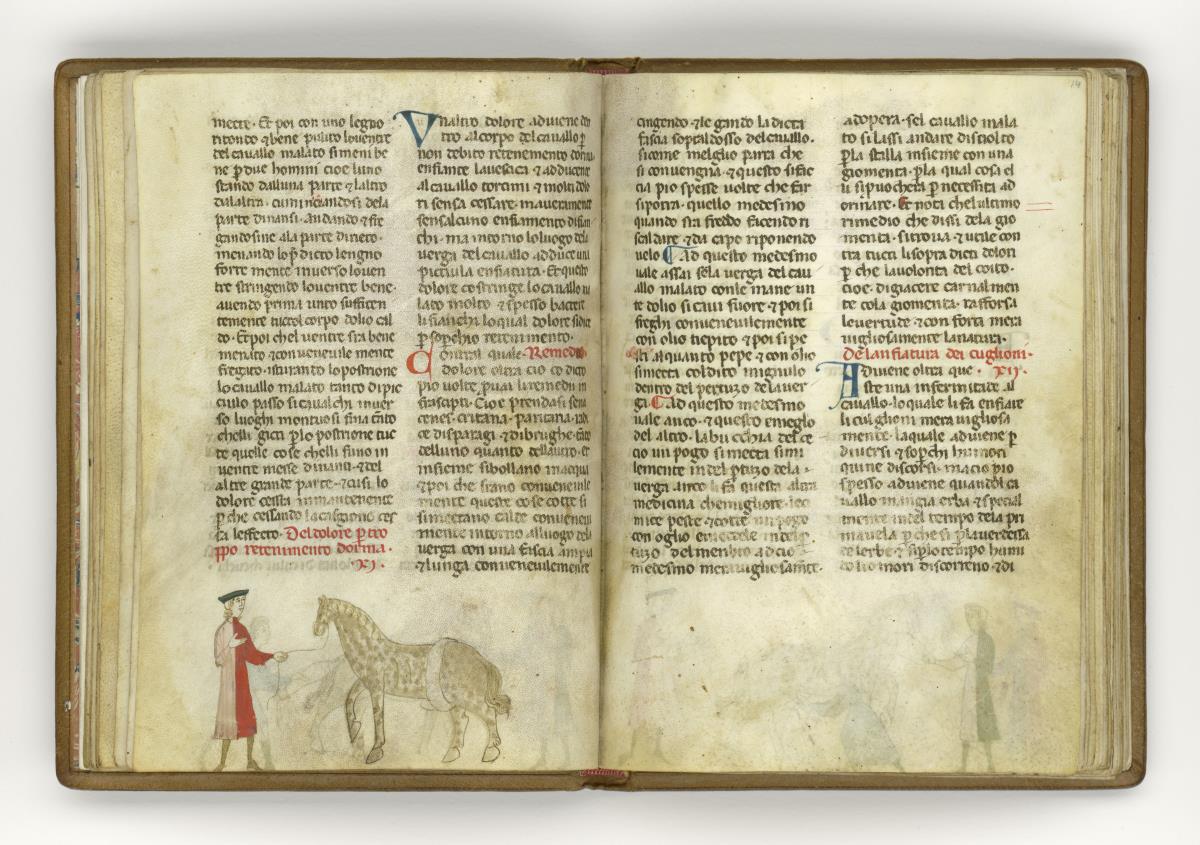 Giordano Rosso, Libro delle Mariscalcie dei cavalli.