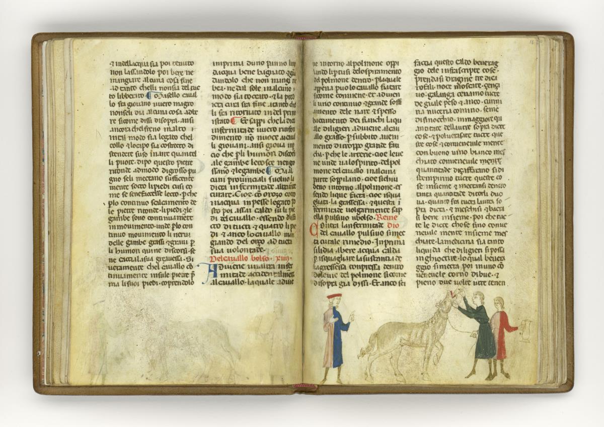 Giordano Rosso, Libro delle Mariscalcie dei cavalli.