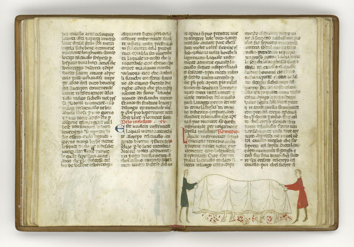 Giordano Rosso, Libro delle Mariscalcie dei cavalli. Ein krankes Pferd wird von zwei Männern mit einer Decke umhüllt