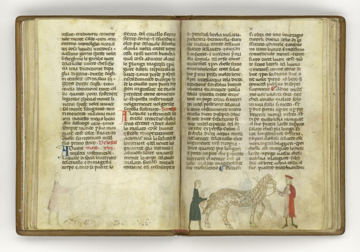 Giordano Rosso, Libro delle Mariscalcie dei cavalli.