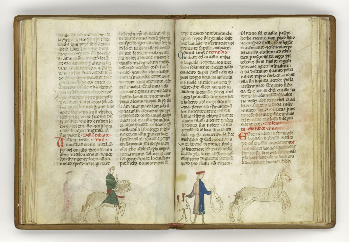 Giordano Rosso, Libro delle Mariscalcie dei cavalli. Ein Reiter