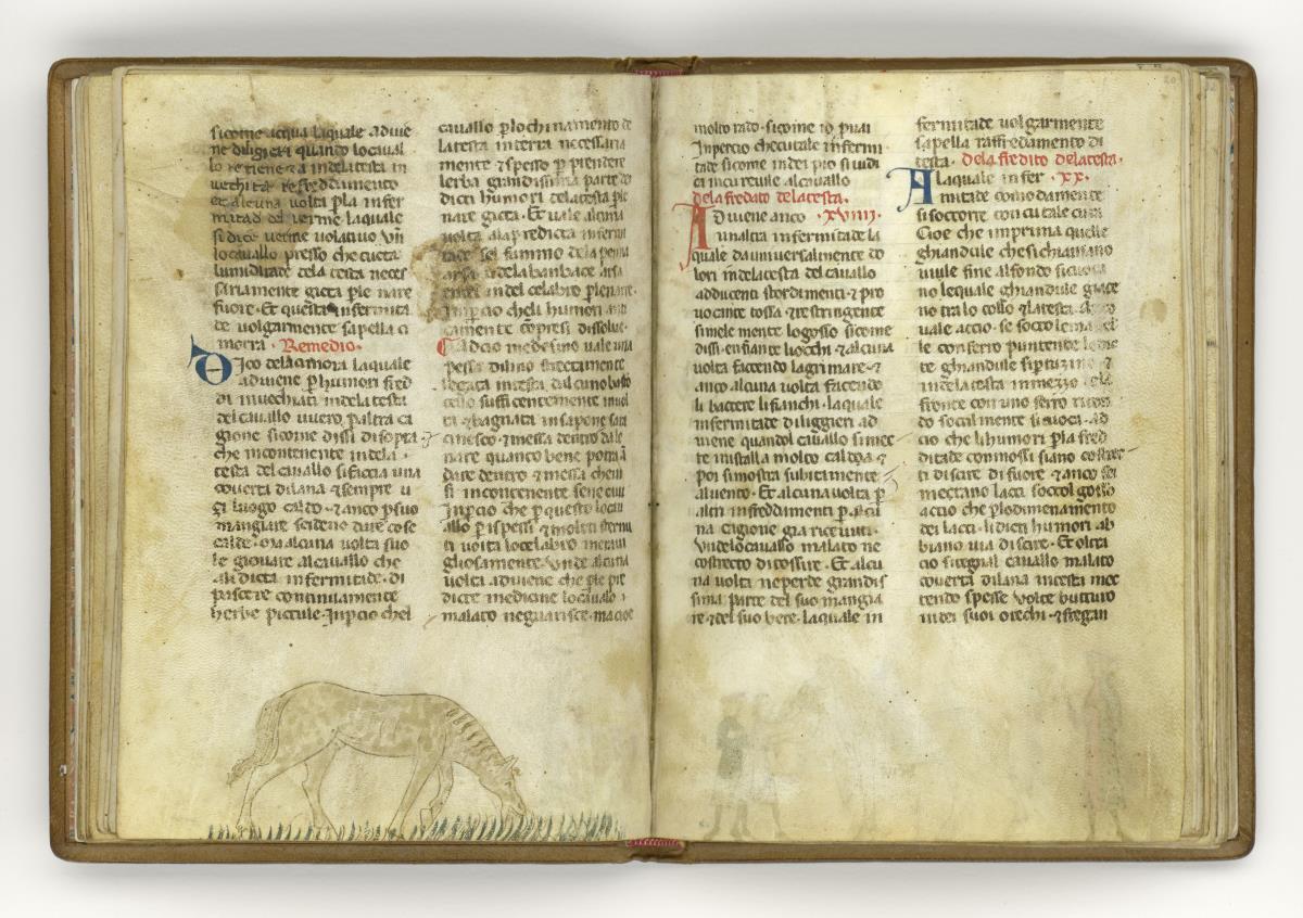 Giordano Rosso, Libro delle Mariscalcie dei cavalli.