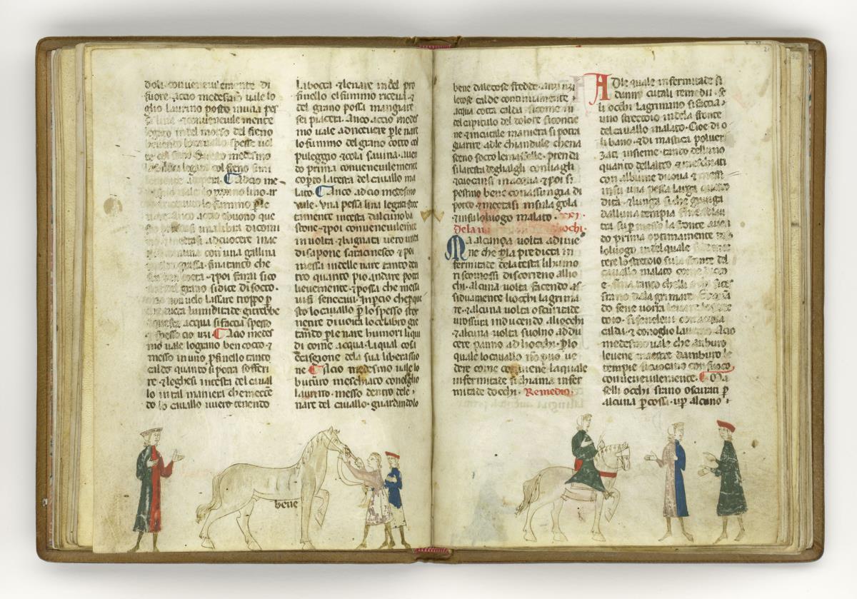 Giordano Rosso, Libro delle Mariscalcie dei cavalli. Berittenes Pferd mit verbundenem Kopf, davor rechts zwei Männer mit weisenden Gebärden