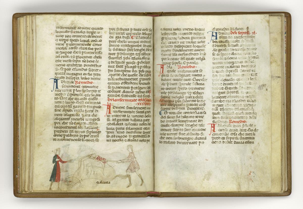Giordano Rosso, Libro delle Mariscalcie dei cavalli.
