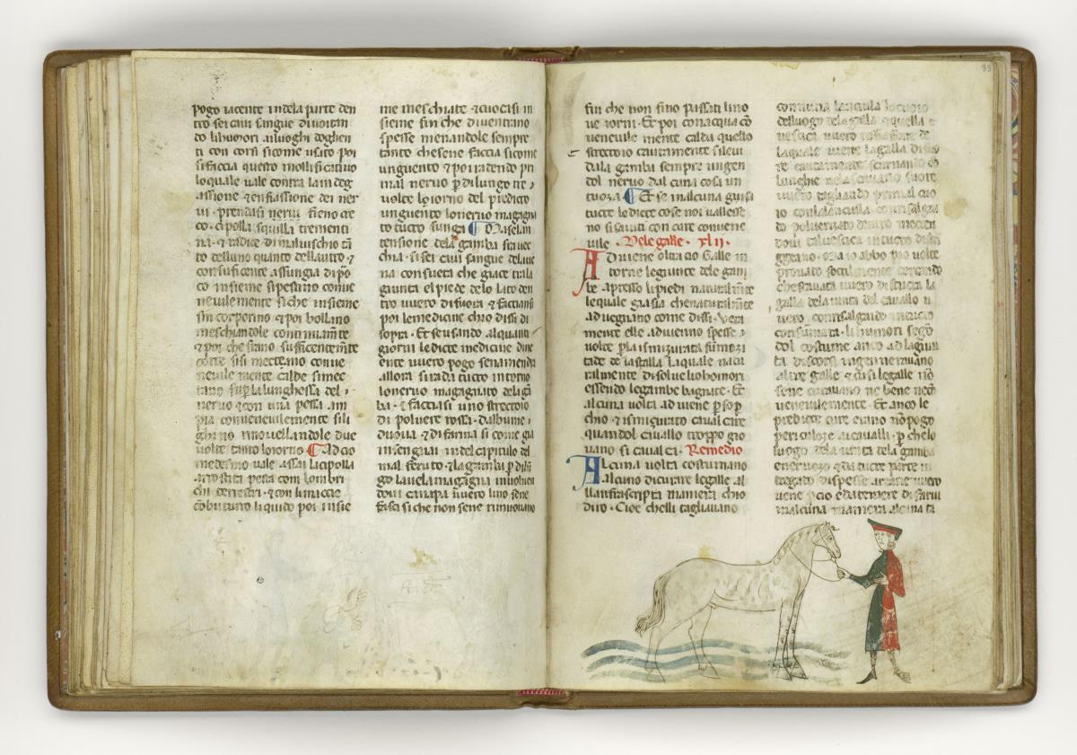 Giordano Rosso, Libro delle Mariscalcie dei cavalli. Ein Pferd wird von einem Mann in rotgrünem Rock ins Wasser geführt, um die Beine zu kühlen