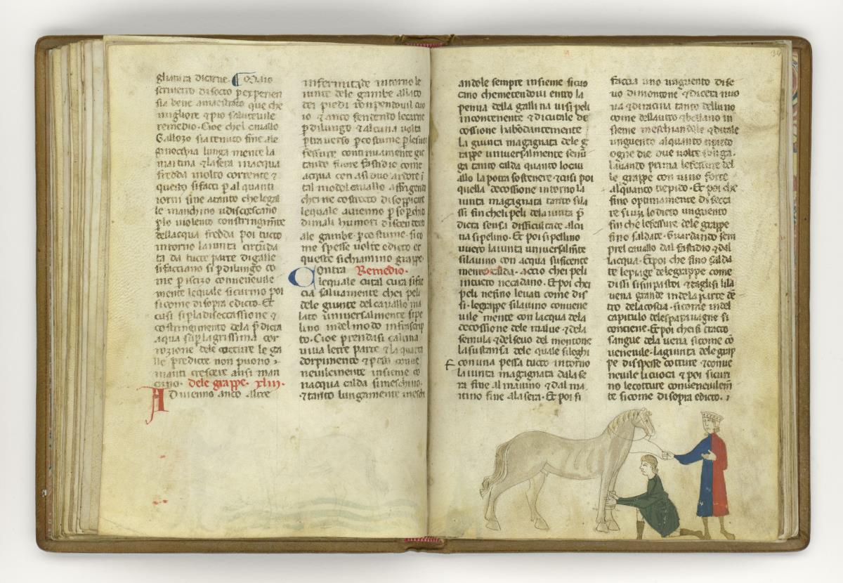 Giordano Rosso, Libro delle Mariscalcie dei cavalli. Pferd, das am linken Vorderbein einen Verband erhält