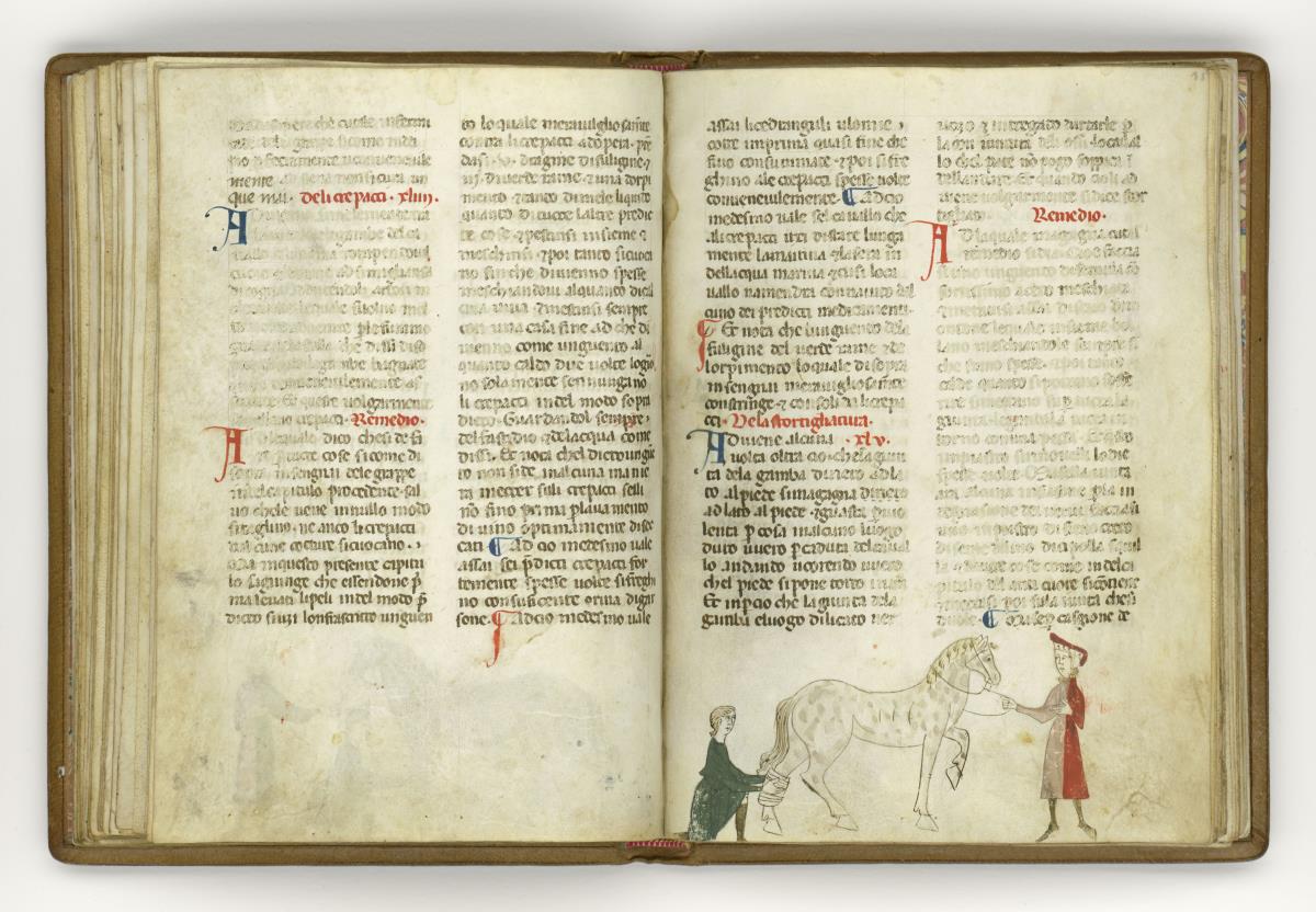 Giordano Rosso, Libro delle Mariscalcie dei cavalli. Pferd, das am linken Hinterbein einen Verband erhält