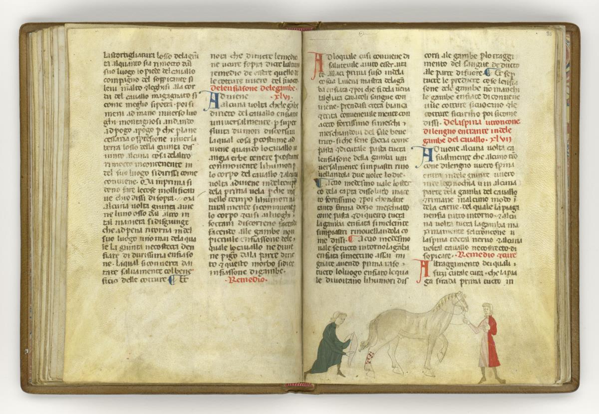 Giordano Rosso, Libro delle Mariscalcie dei cavalli. Pferd, das am rechten Hinterbein einen Verband erhält