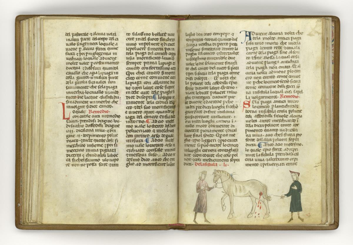 Giordano Rosso, Libro delle Mariscalcie dei cavalli.