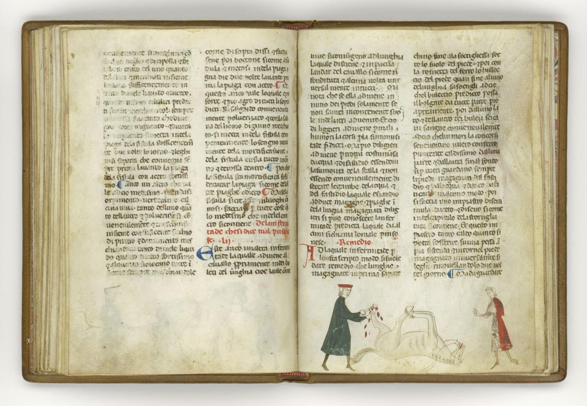 Giordano Rosso, Libro delle Mariscalcie dei cavalli.
