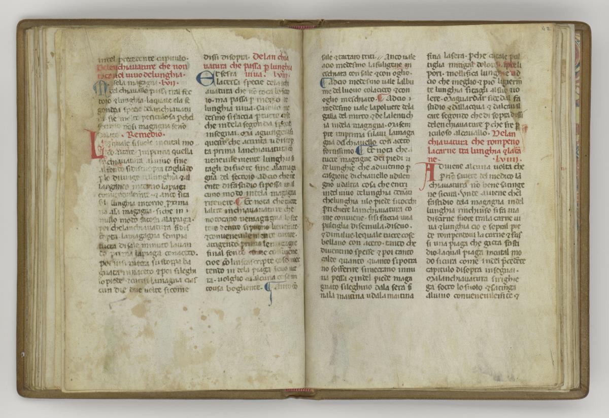 Giordano Rosso, Libro delle Mariscalcie dei cavalli.