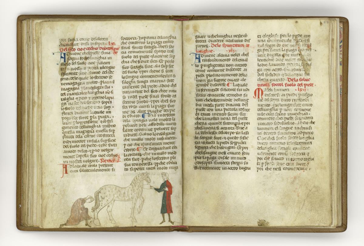 Giordano Rosso, Libro delle Mariscalcie dei cavalli.