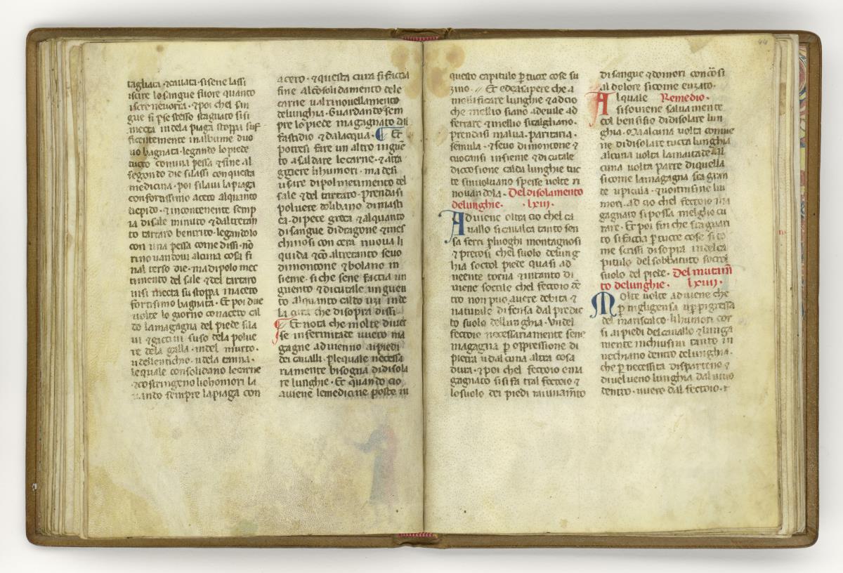 Giordano Rosso, Libro delle Mariscalcie dei cavalli.