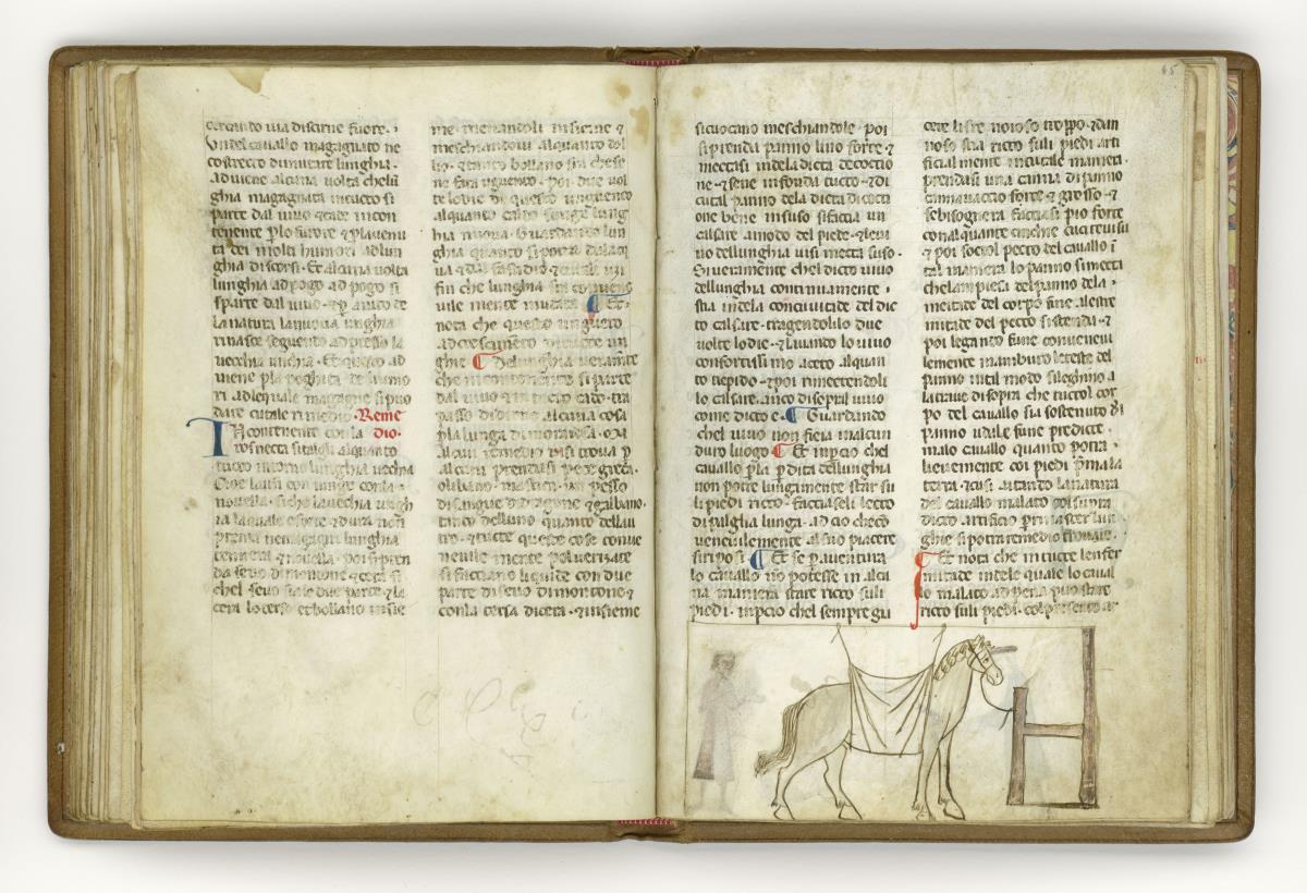 Giordano Rosso, Libro delle Mariscalcie dei cavalli.
