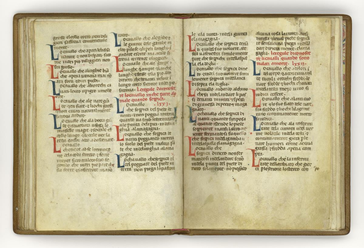Giordano Rosso, Libro delle Mariscalcie dei cavalli.