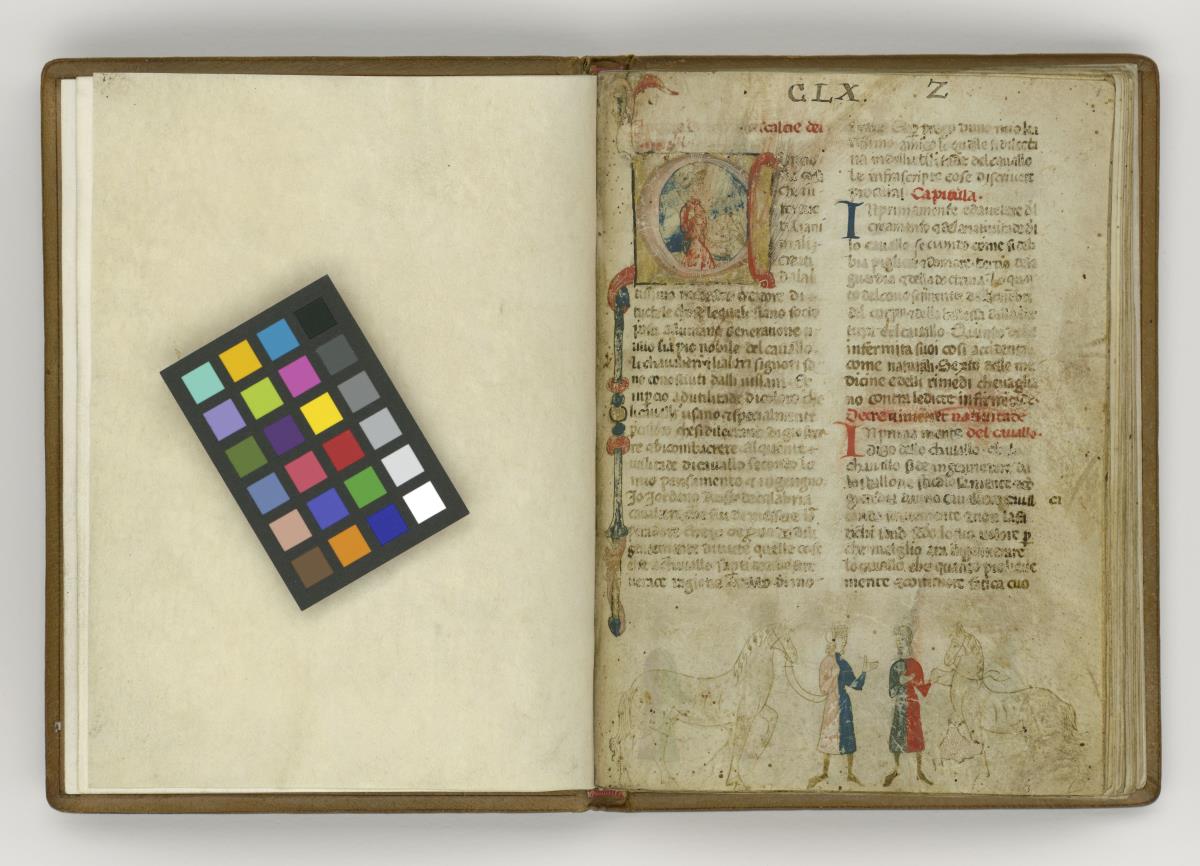 Giordano Rosso, Libro delle Mariscalcie dei cavalli. Initiale C, darin ein Reiter in Halbfigur, unten zwei Knechte mit zwei gegeneinander schreitenden Pferden