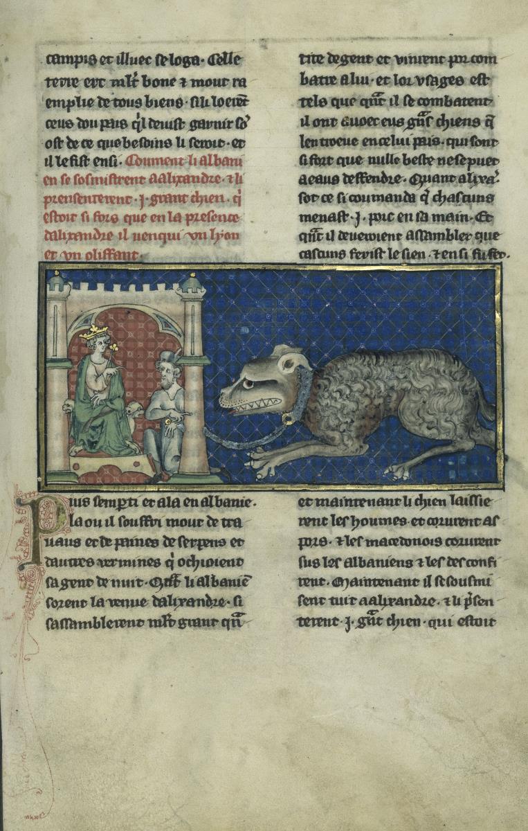 Alexander-Roman. Wie sich die Albaner Alexander unterwarfen und ihm einen großen Hund vorführen, der so stark war, dass er in Alexanders Gegenwart einen Löwen und einen Elefanten besiegte