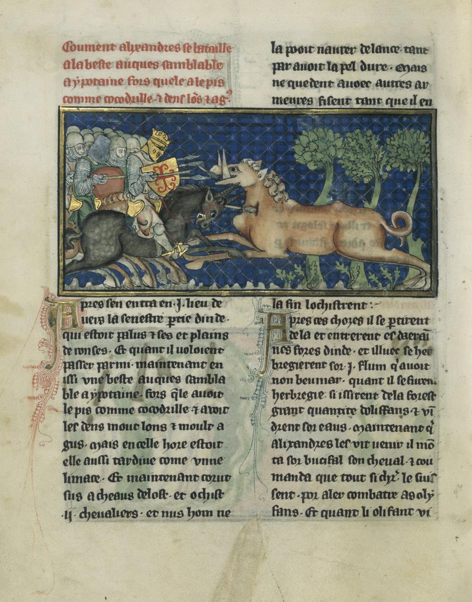 Alexander-Roman. Wie Alexander gegen ein Tier kämpft, das einem Hippopotamus gleicht, außer dass es eine Brust wie ein Krokodil und lange spitze Zähne hat