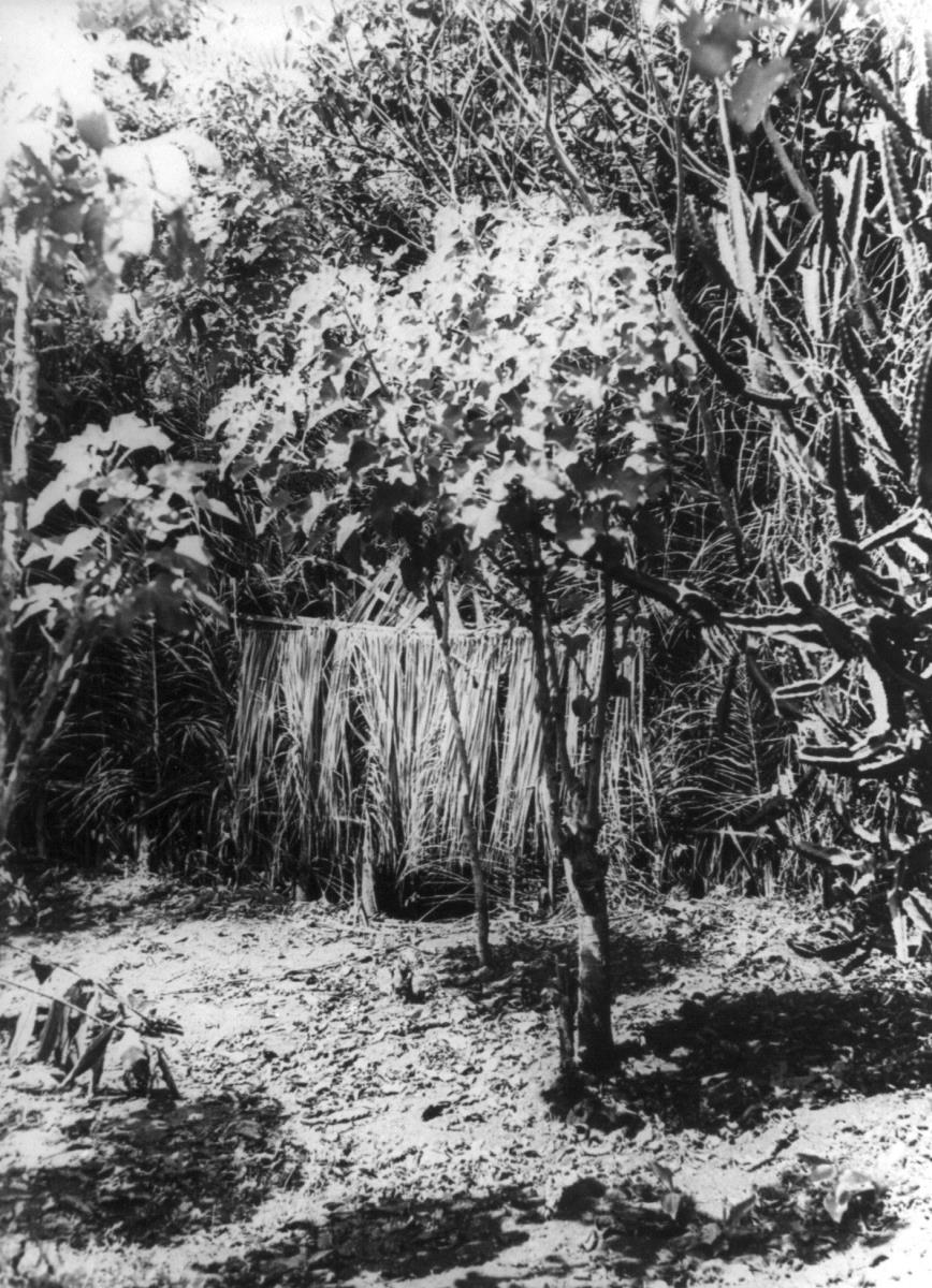 Eingang zum Knabenbusch. Pandemai