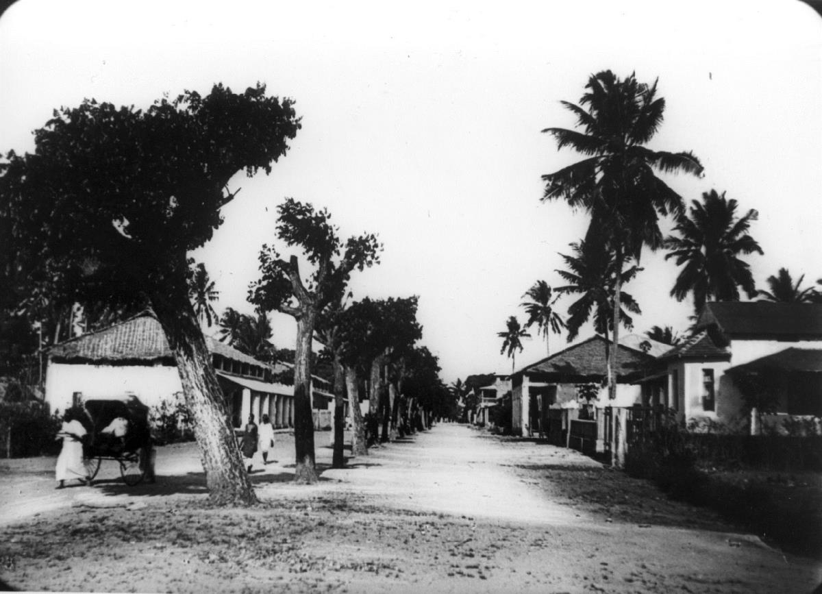 Strassenseite mit Häusern.