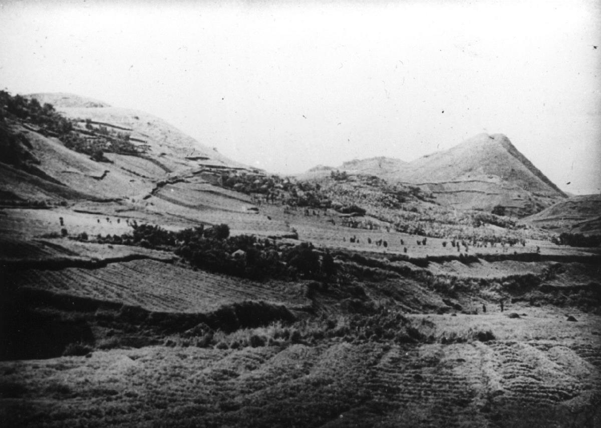 Bugoye-Landschaft, Bananenkulturen, Erbsenkultur