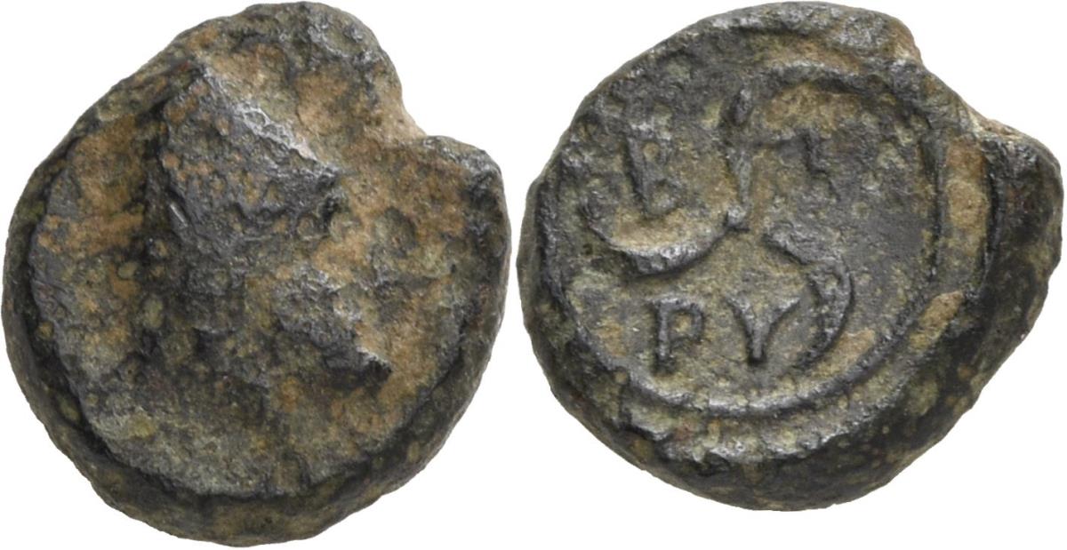 Birytis