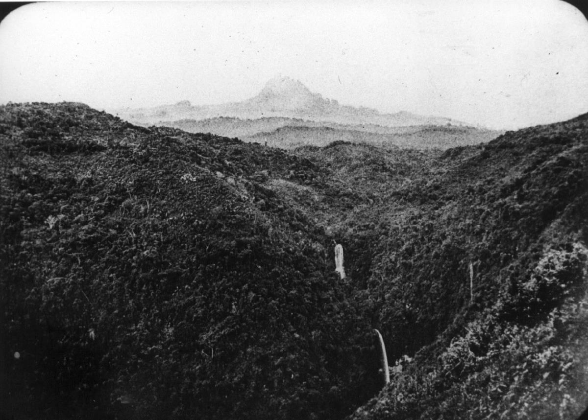 Hochgebirgsurwald (1900-2900m) am Kilimanjaro. Im Hintergrund der Mawewsi (Ostgipfel)