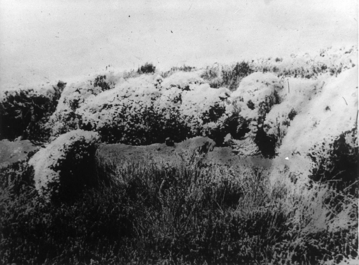 Obere Bergwiesen