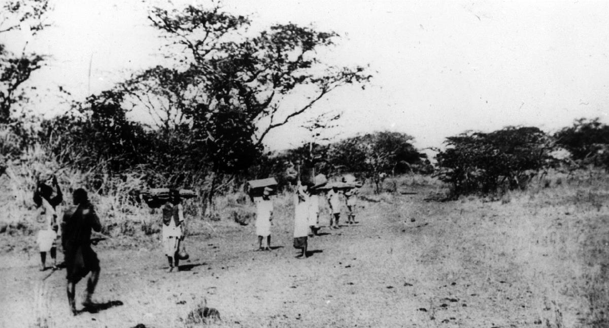 Safari in der Massaisteppe