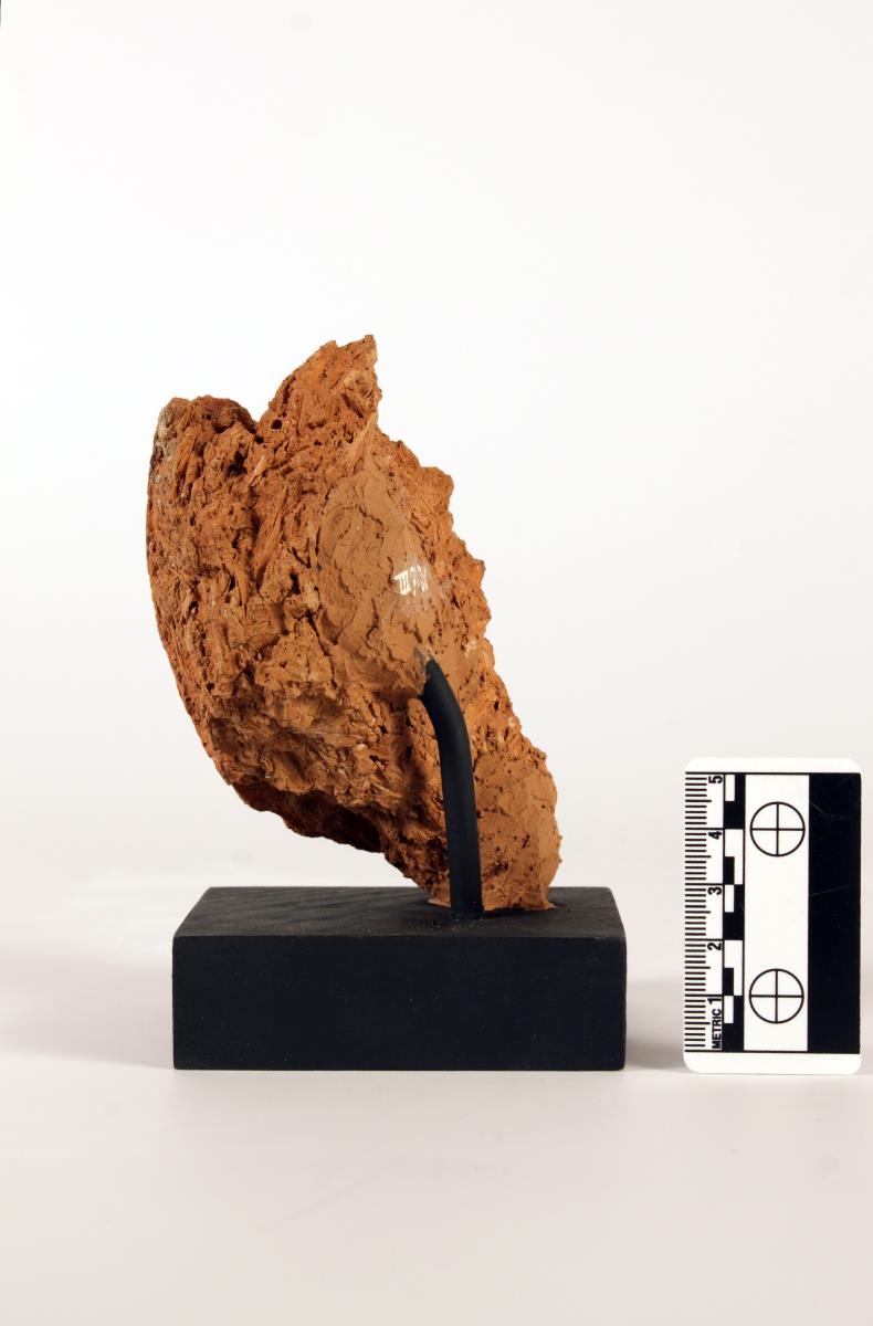 Fragment eines Devata-Kopfes