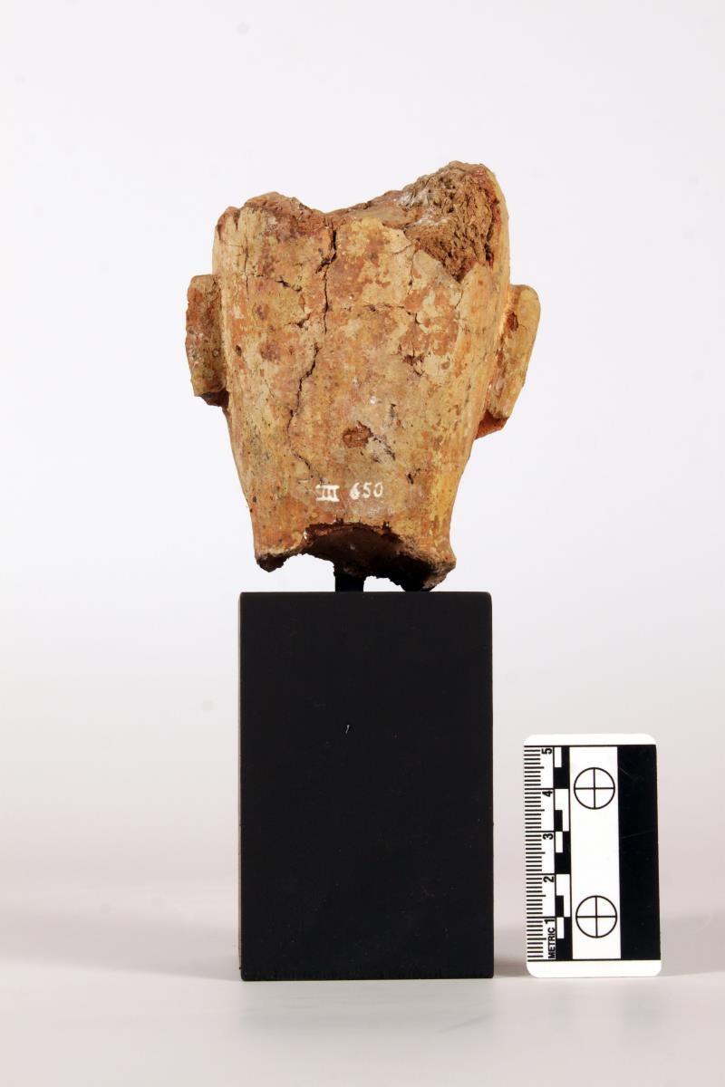 Buddhakopf