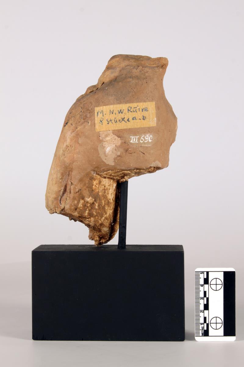 Fragment von linker Schulterpartie einer Devata oder Bodhisattva