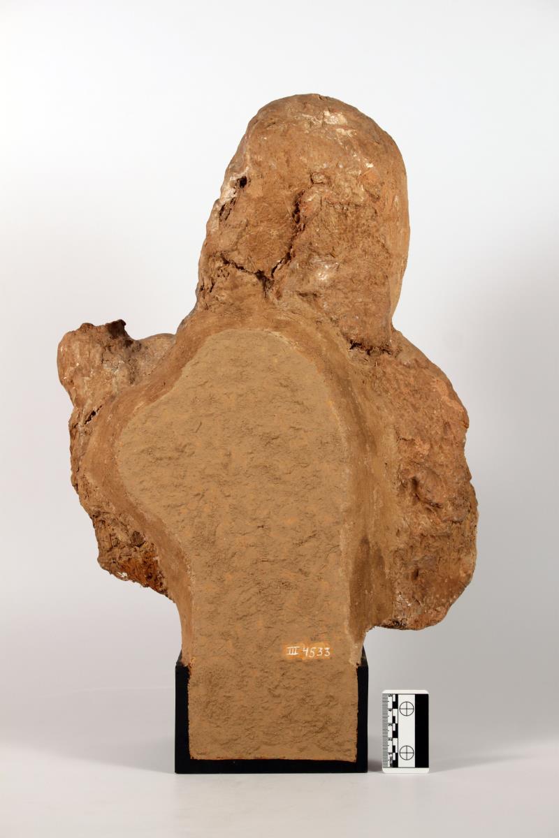Bodhisattva