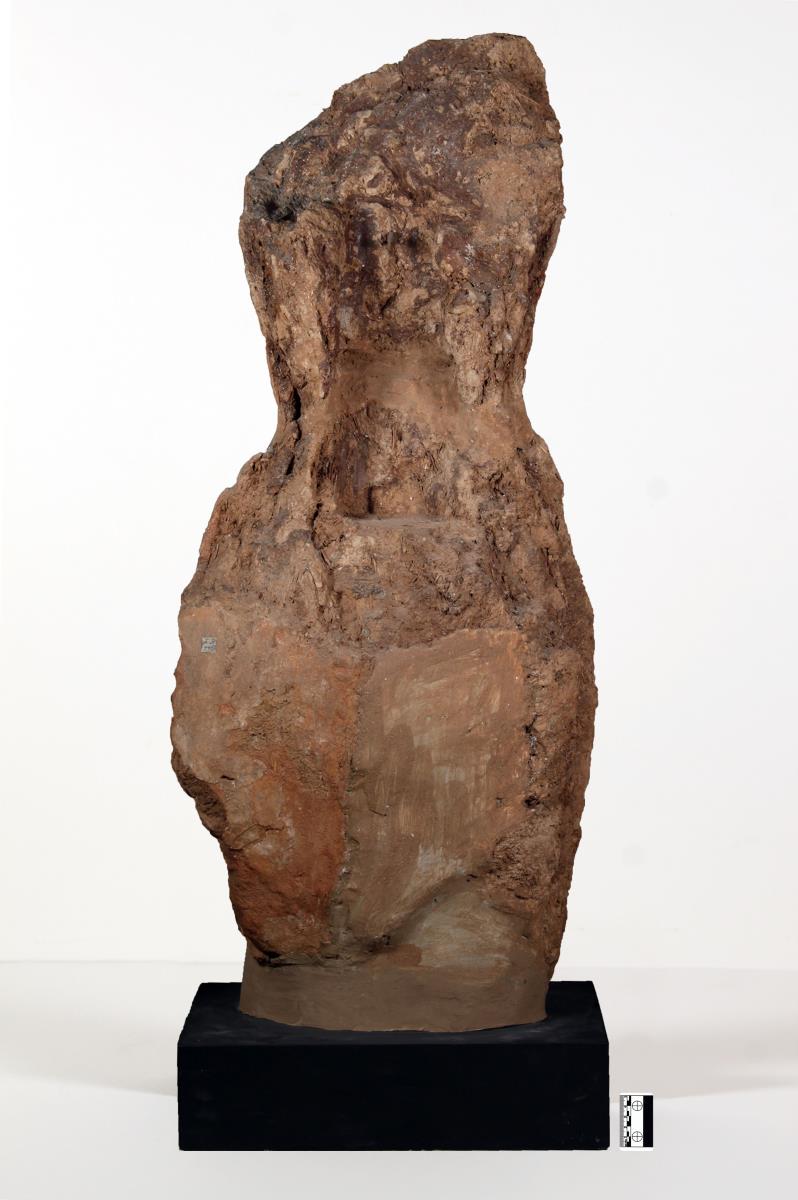 Torso