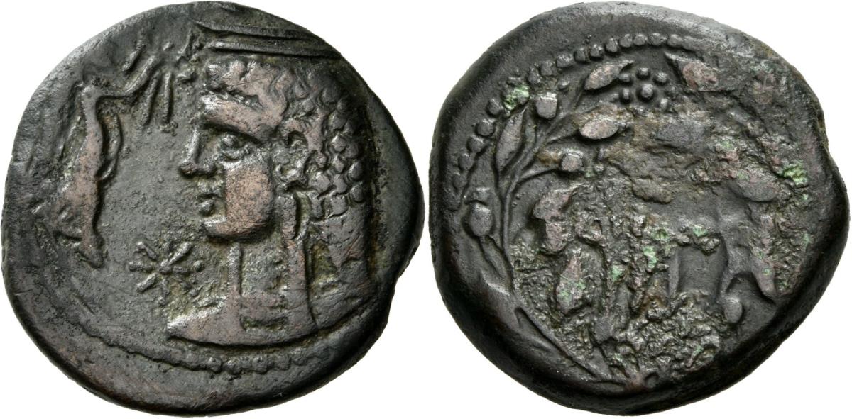 Cossura