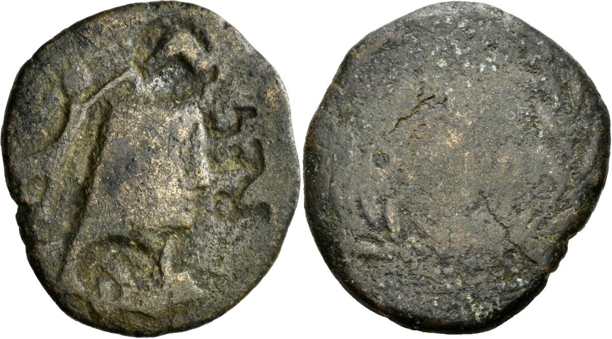 Cossura