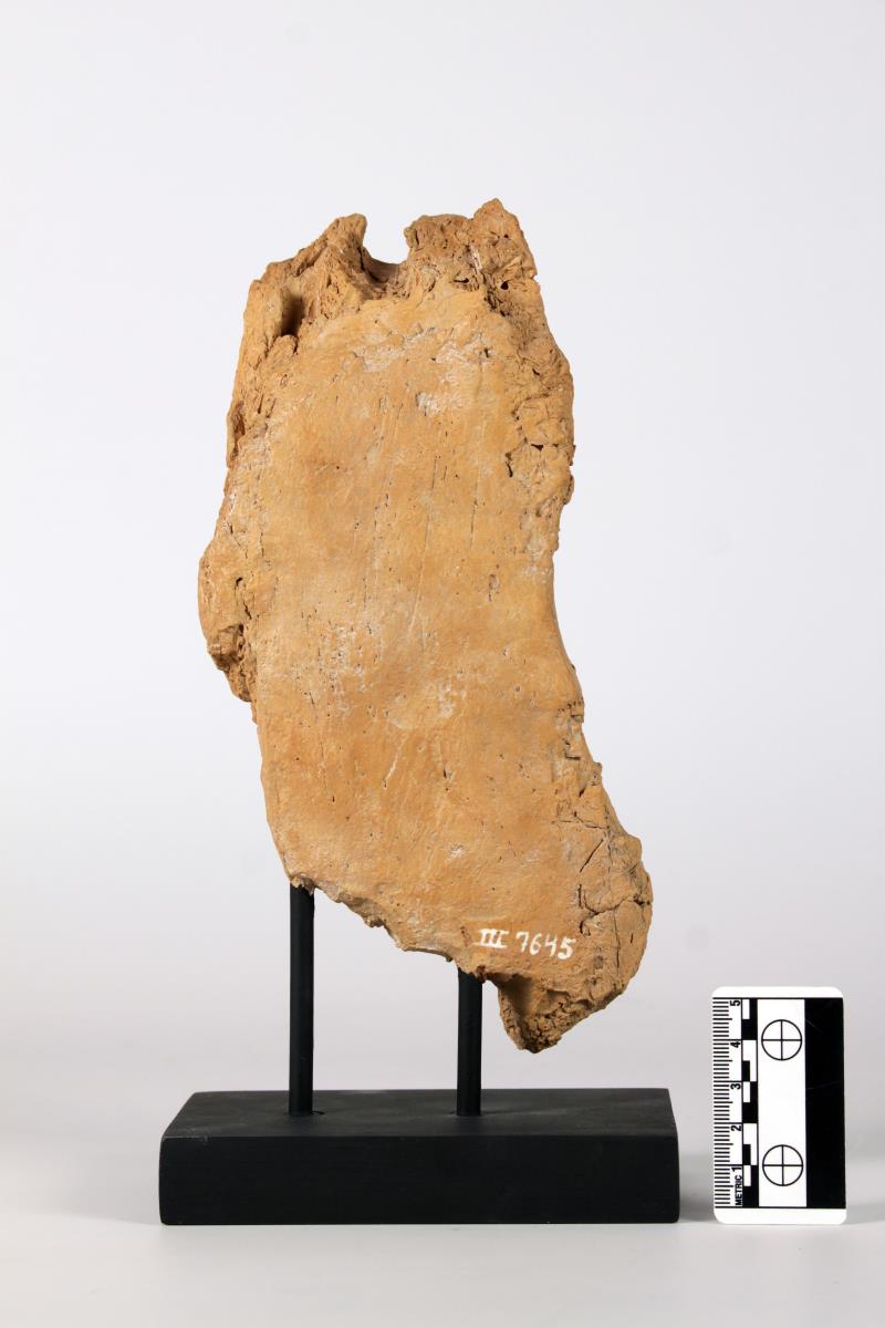 Unterkörper einer stehenden Figur