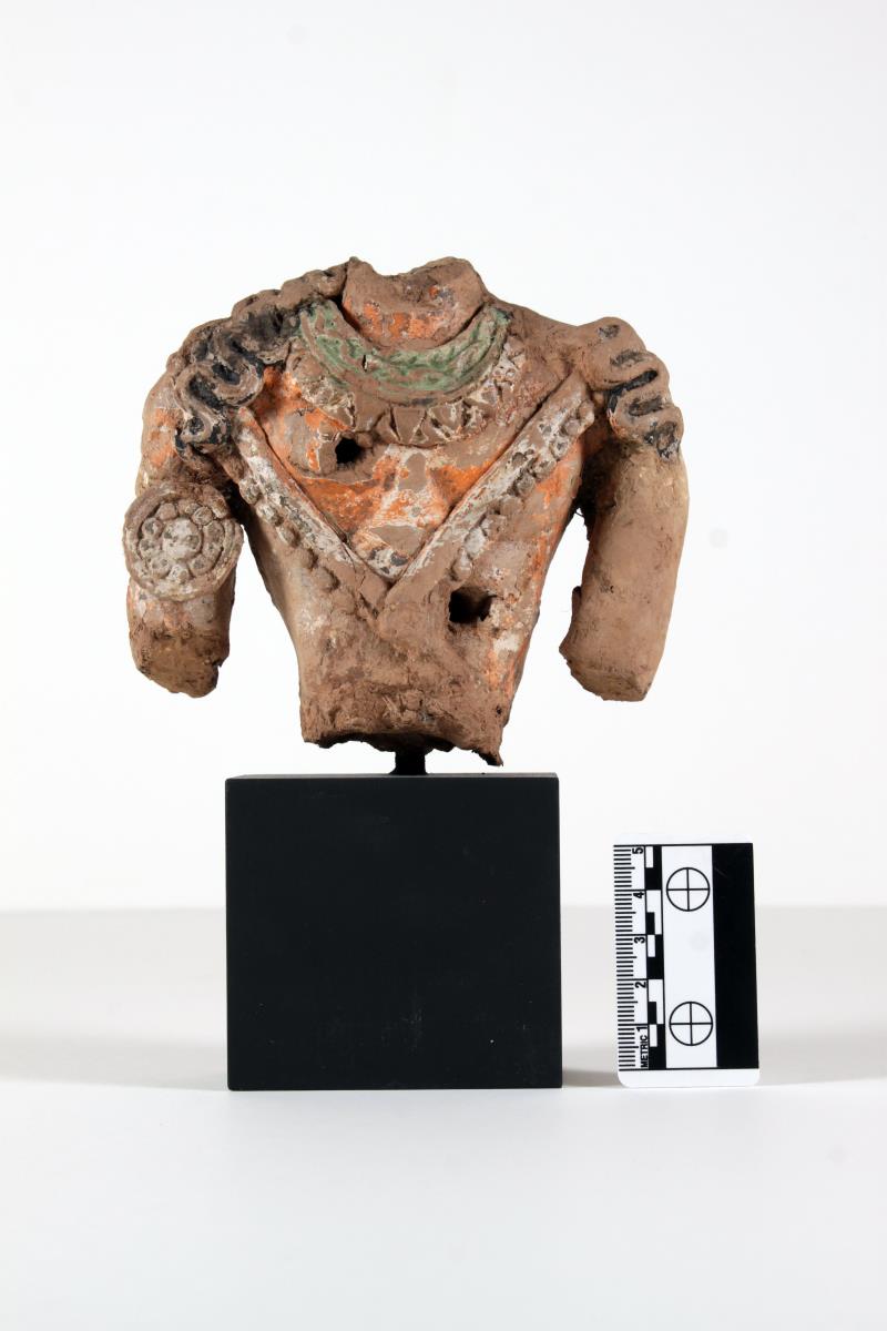 Torso