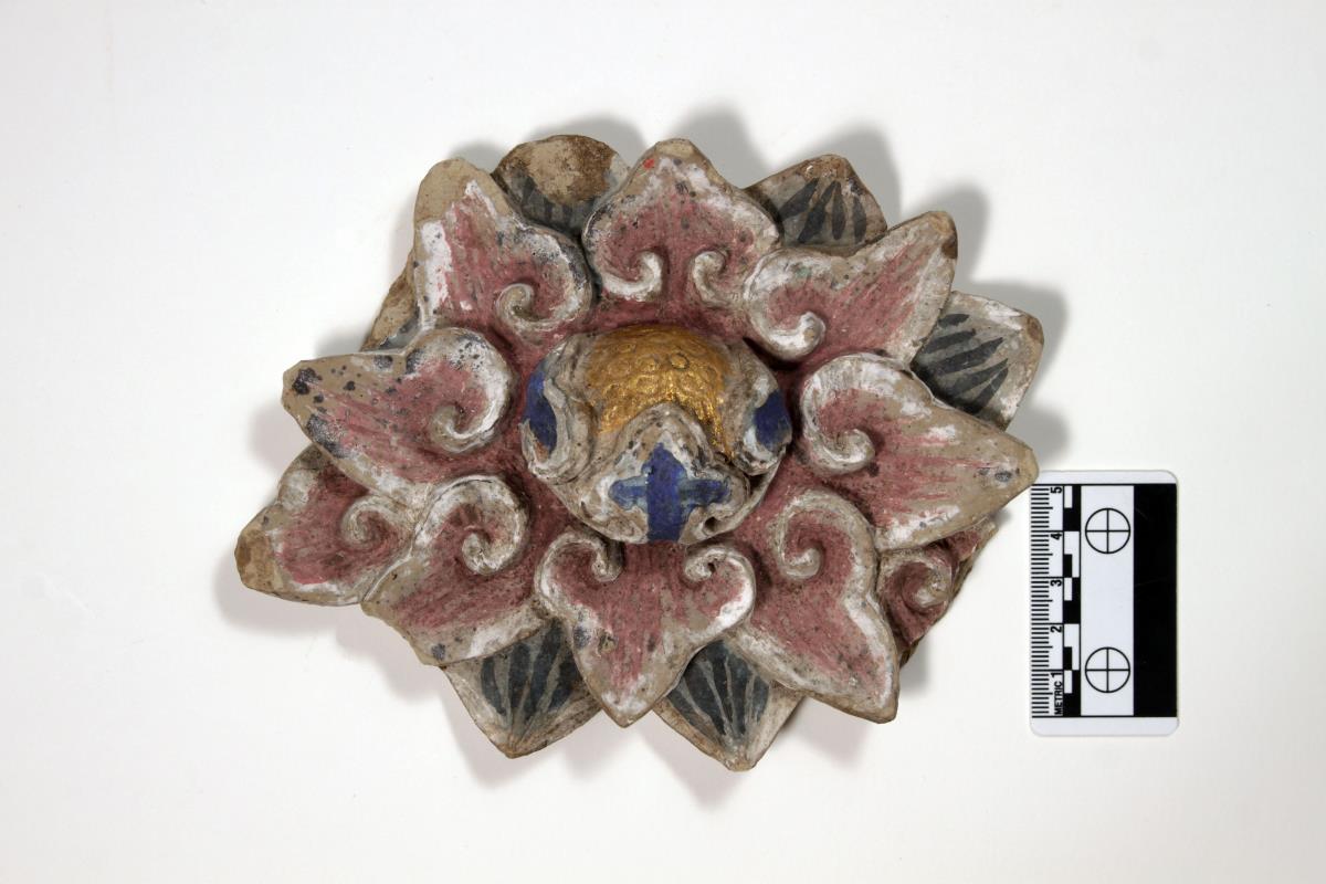 Rossette, Blume