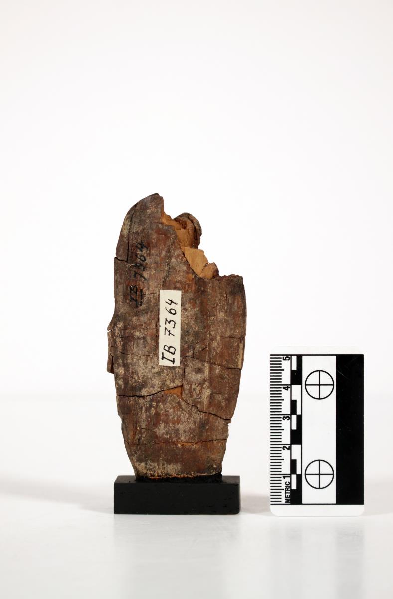 Bodhisattva Samantabhadra (?)