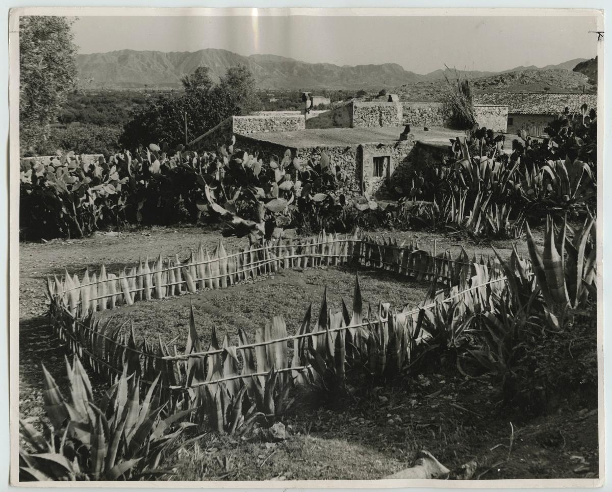 Bauernhaus und mit Agaven eingezäunter Garten