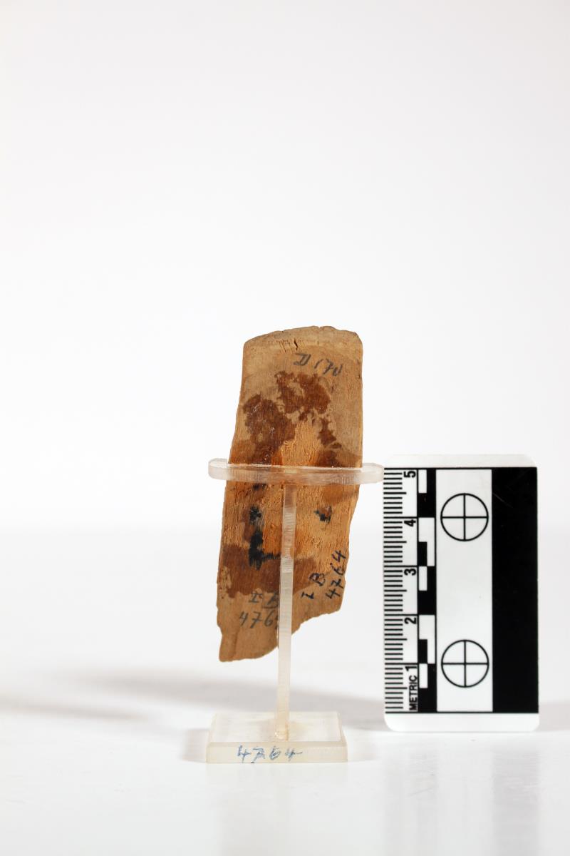 1000 Buddhas Fragment