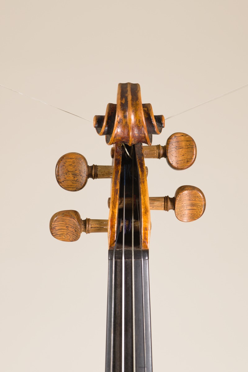 Violine