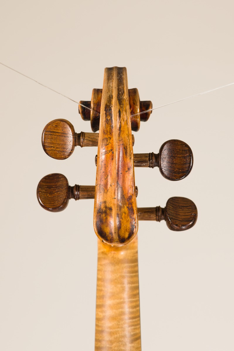 Violine