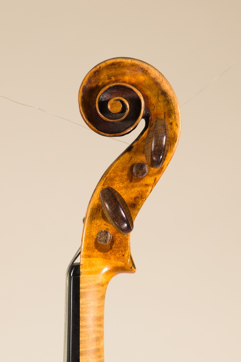 Violine