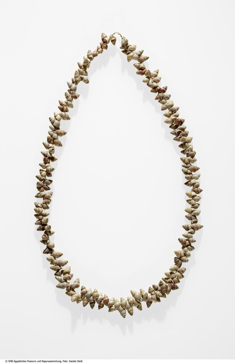Kette aus 175 Schneckengehäusen